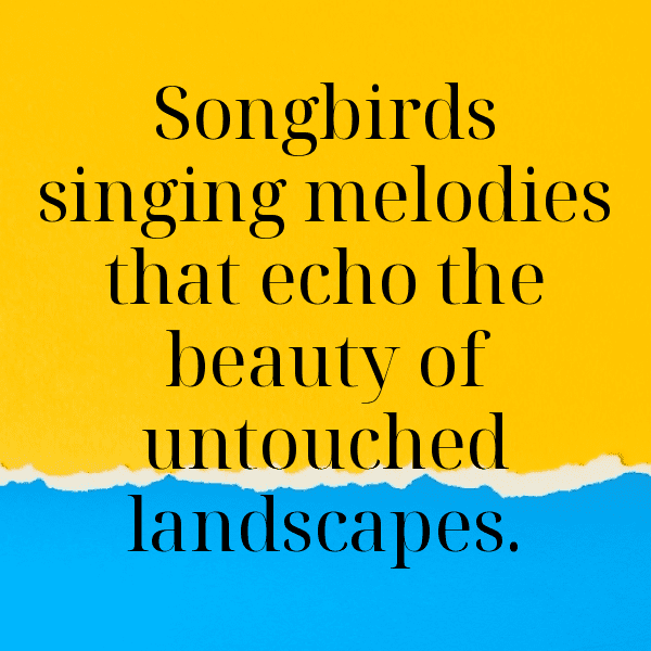 Finch Captions Photo For Instagram-iRZcU6