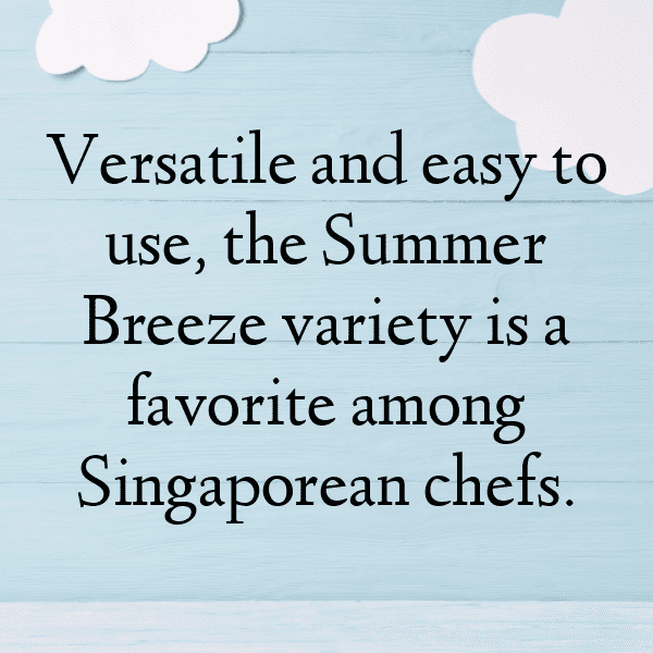 252+ Finger Lime Captions For Instagram (Fresh & Trendy) 5 Finger Lime Captions Photo For Instagram-gRl4Tv