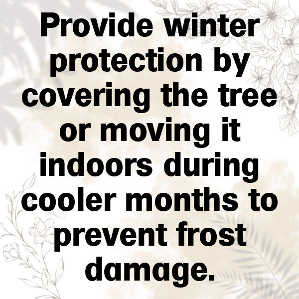 252+ Finger Lime Captions For Instagram (Fresh & Trendy) 6 Finger Lime Captions Photo For Instagram-pAcwlO