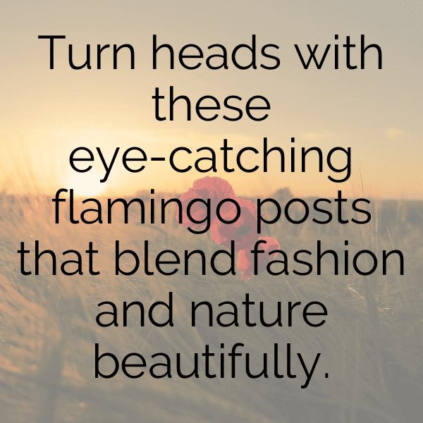 Flamingo Captions Photo For Instagram-Hp0hqX