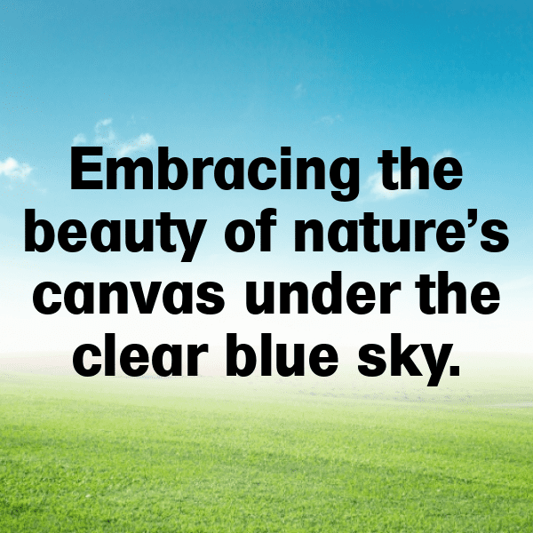 Flower Field Captions Image for Instagram-TpCXKT