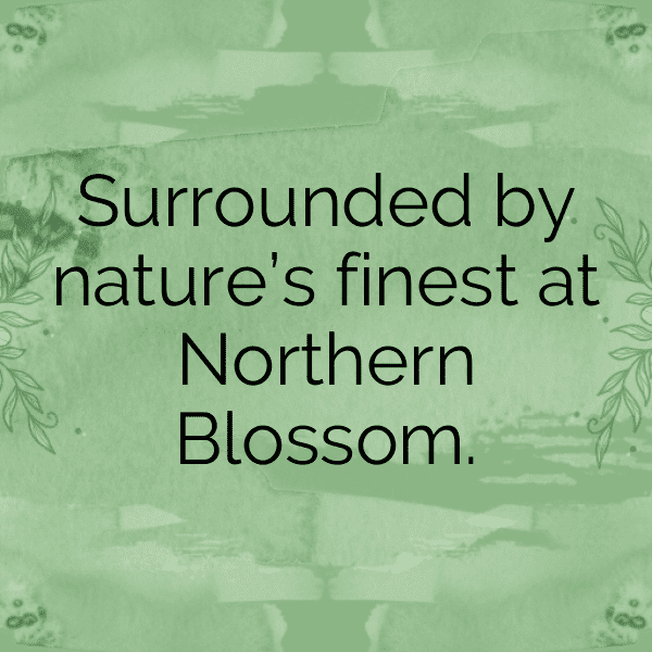 Flower Field Captions Photo for Instagram-7WRC2x