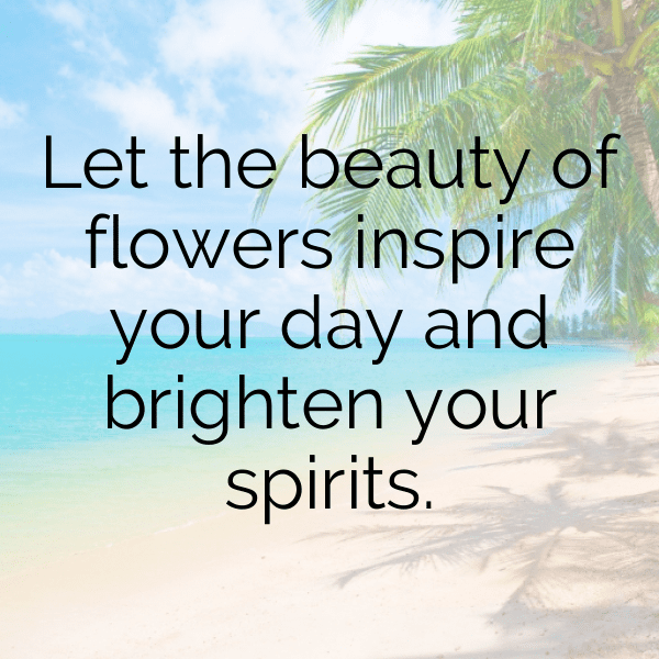 Flower Field Captions Photo for Instagram-L309Fc