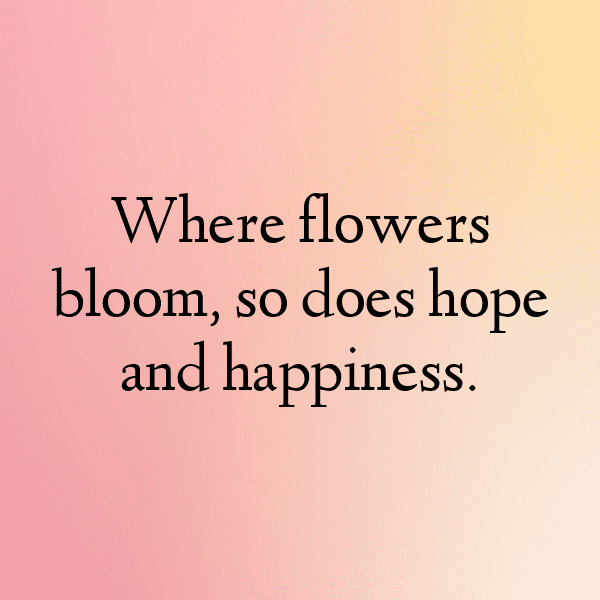 Flowery Meadow Captions Image for Instagram-iQfZzq