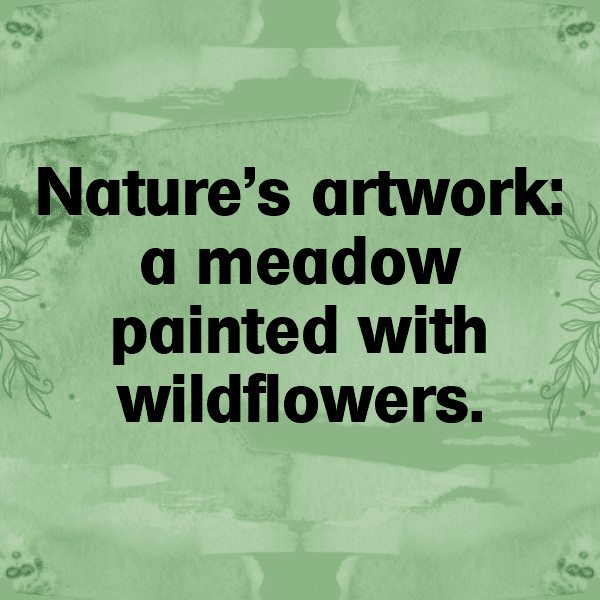 Flowery Meadow Captions Photo for Instagram-5KiEsS