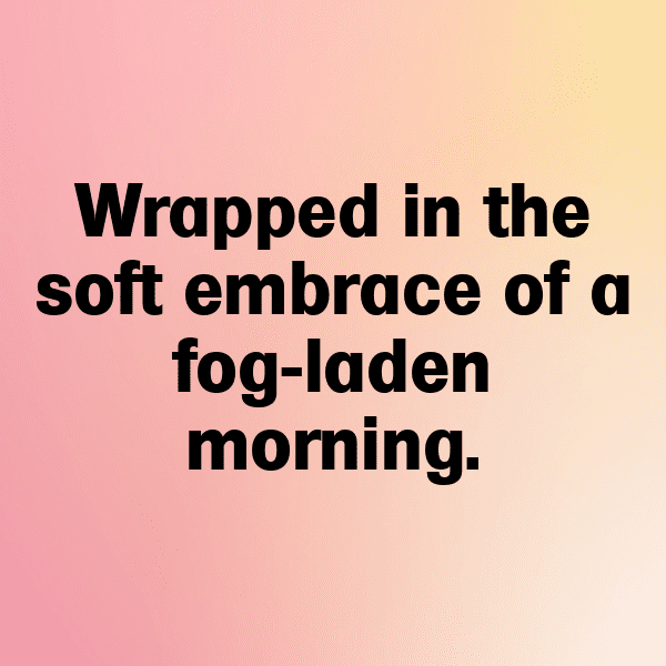 Foggy Morning Captions Image for Instagram-EvuWw1