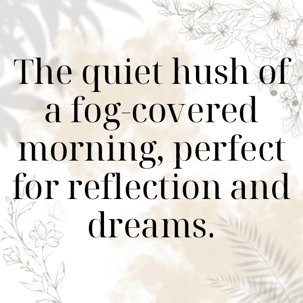 Foggy Morning Captions Image for Instagram-HtARv0