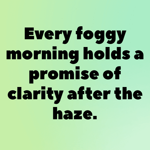 Foggy Morning Captions Photo for Instagram-9qtpne
