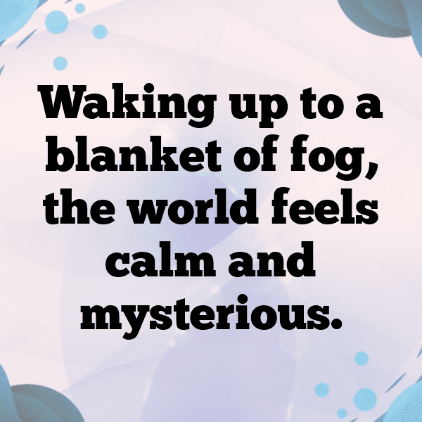 Foggy Morning Captions Photo for Instagram-EP4YKi