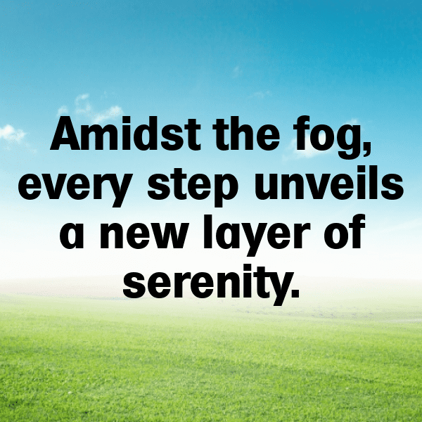 Foggy Morning Captions Photo for Instagram-tc2ZNb