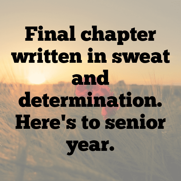 252+ Football Captions for Instagram (Best, Funny & Short) 17 Football Captions Image for Instagram-ACoSwz