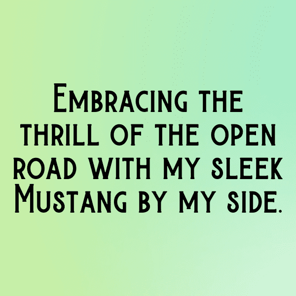 229+ Ford Mustang Captions for Instagram (Best, Funny & Short) 8 Ford Mustang Captions Image for Instagram-URgxq5