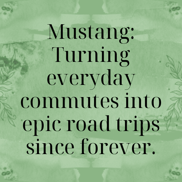 229+ Ford Mustang Captions for Instagram (Best, Funny & Short) 7 Ford Mustang Captions Photo for Instagram-4hcZJY