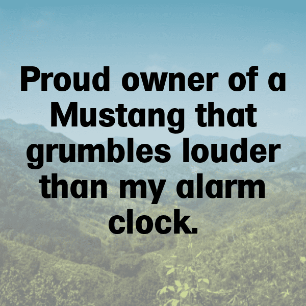 229+ Ford Mustang Captions for Instagram (Best, Funny & Short) 3 Ford Mustang Captions Photo for Instagram-8B32oI