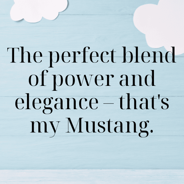 229+ Ford Mustang Captions for Instagram (Best, Funny & Short) 13 Ford Mustang Captions Photo for Instagram-lCyhqz