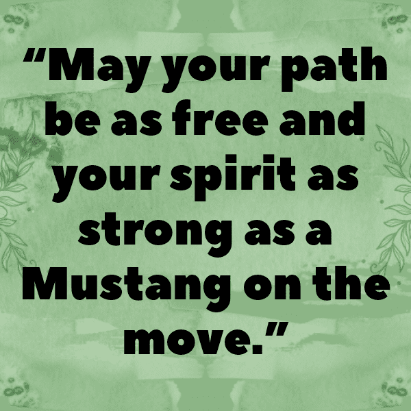 229+ Ford Mustang Captions for Instagram (Best, Funny & Short) 15 Ford Mustang Captions Photo for Instagram-uojb5P