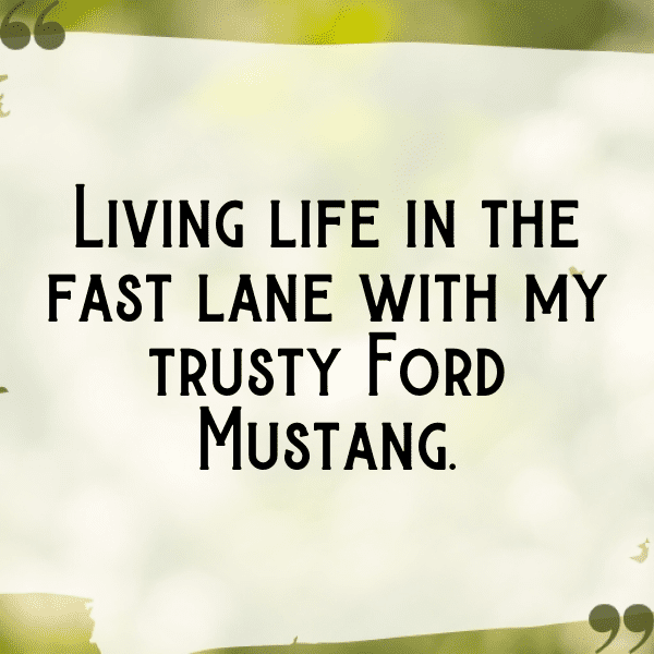 229+ Ford Mustang Captions for Instagram (Best, Funny & Short) 12 Ford Mustang Captions Photo for Instagram-ZVAeMD