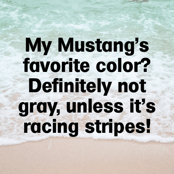 Ford Mustang Mach-E Captions Photo for Instagram-9OIZP3