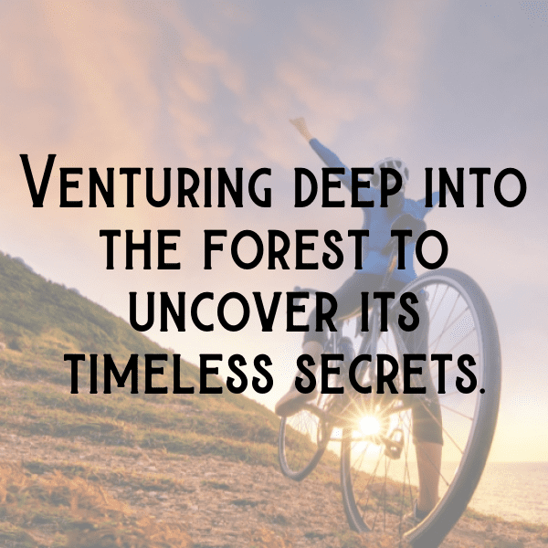 262+ Forest Adventure Captions for Instagram (Fresh & Trendy) 5 Forest Adventure Captions Image for Instagram-ejhUy9