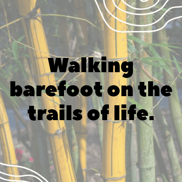 262+ Forest Adventure Captions for Instagram (Fresh & Trendy) 10 Forest Adventure Captions Image for Instagram-hQK2kv