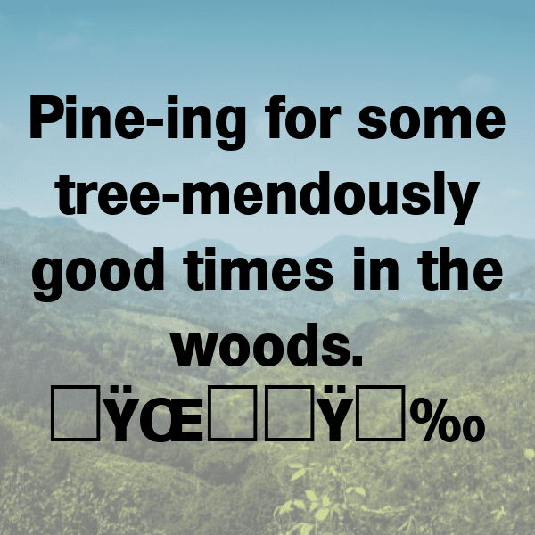 262+ Forest Adventure Captions for Instagram (Fresh & Trendy) 12 Forest Adventure Captions Photo for Instagram-Da3oG0