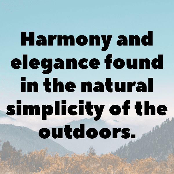 262+ Forest Adventure Captions for Instagram (Fresh & Trendy) 9 Forest Adventure Captions Photo for Instagram-HtSaRH