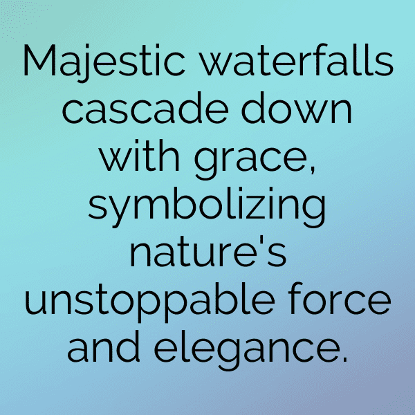 262+ Forest Adventure Captions for Instagram (Fresh & Trendy) 7 Forest Adventure Captions Photo for Instagram-P4yW8P