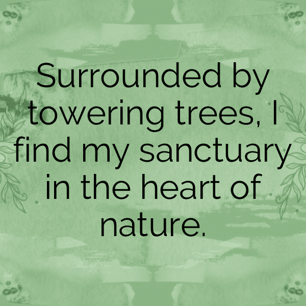 239+ Forest Bathing Captions for Instagram (Trending, Funny & Top) 12 Forest Bathing Captions Image for Instagram-0nfWc2