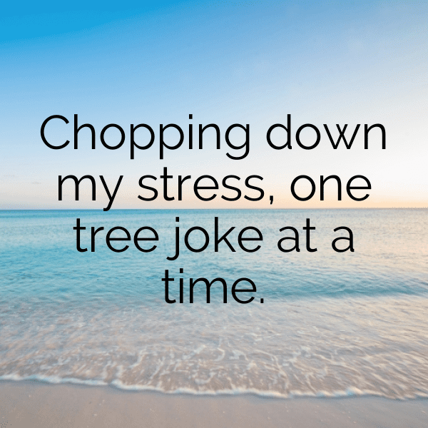 239+ Forest Bathing Captions for Instagram (Trending, Funny & Top) 14 Forest Bathing Captions Image for Instagram-5f18Co