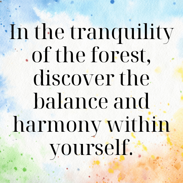 239+ Forest Bathing Captions for Instagram (Trending, Funny & Top) 10 Forest Bathing Captions Image for Instagram-KYKITK