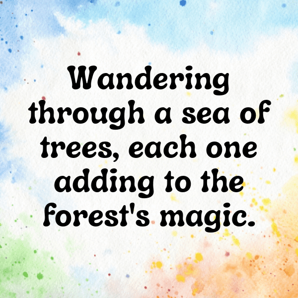 239+ Forest Bathing Captions for Instagram (Trending, Funny & Top) 15 Forest Bathing Captions Photo for Instagram-4cpWow