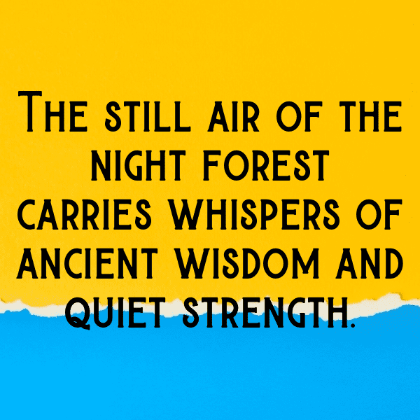 239+ Forest Bathing Captions for Instagram (Trending, Funny & Top) 9 Forest Bathing Captions Photo for Instagram-e34gk1