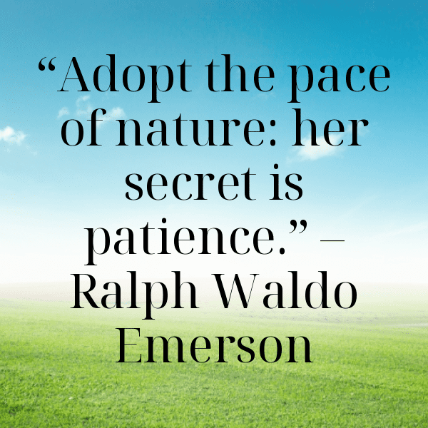 239+ Forest Bathing Captions for Instagram (Trending, Funny & Top) 8 Forest Bathing Captions Photo for Instagram-pl3xrx