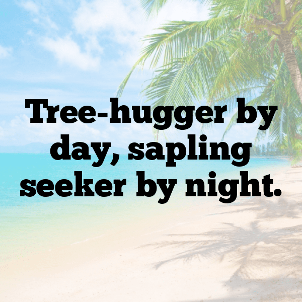 239+ Forest Bathing Captions for Instagram (Trending, Funny & Top) 5 Forest Bathing Captions Photo for Instagram-Sg1cQ1