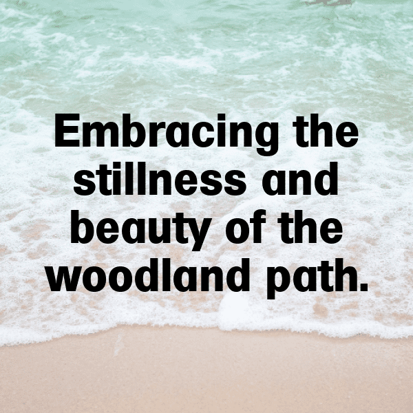 239+ Forest Bathing Captions for Instagram (Trending, Funny & Top) 6 Forest Bathing Captions Photo for Instagram-wNUhgi