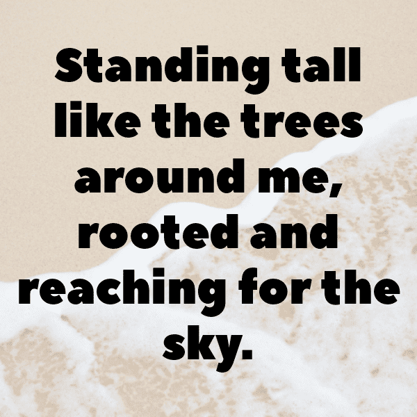 Forest Canopy Captions Image for Instagram-dl34pq