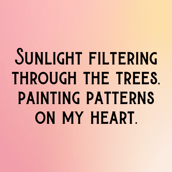 Forest Canopy Captions Image for Instagram-Fat5rA