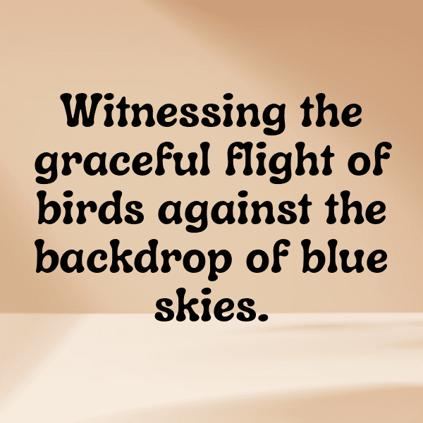 Forest Canopy Captions Image for Instagram-XhRGH5