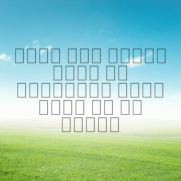 Forest Mist Captions Image for Instagram-jytgQo