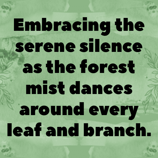 Forest Mist Captions Image for Instagram-W8O12T