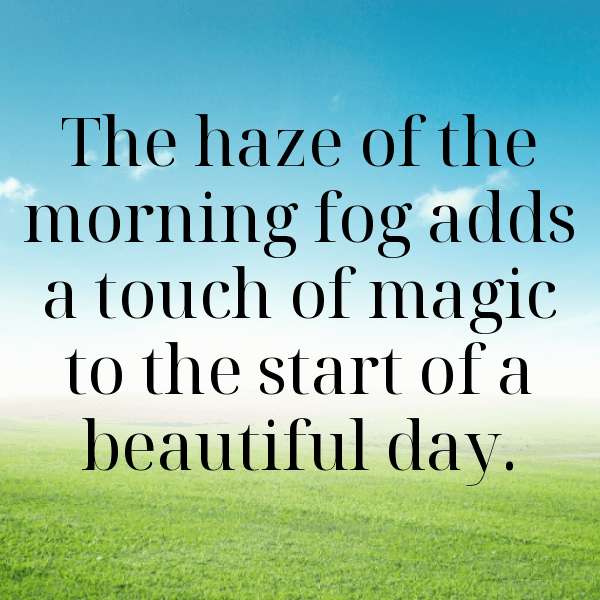 Forest Mist Captions Photo for Instagram-tCI8rO