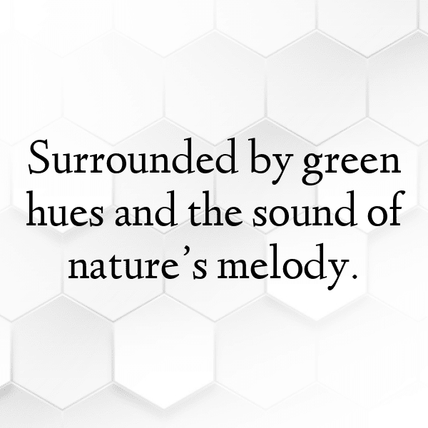 Forest Path Captions Image for Instagram-2rsqyQ