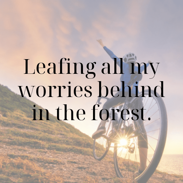 Forest Path Captions Photo for Instagram-DN9zGn