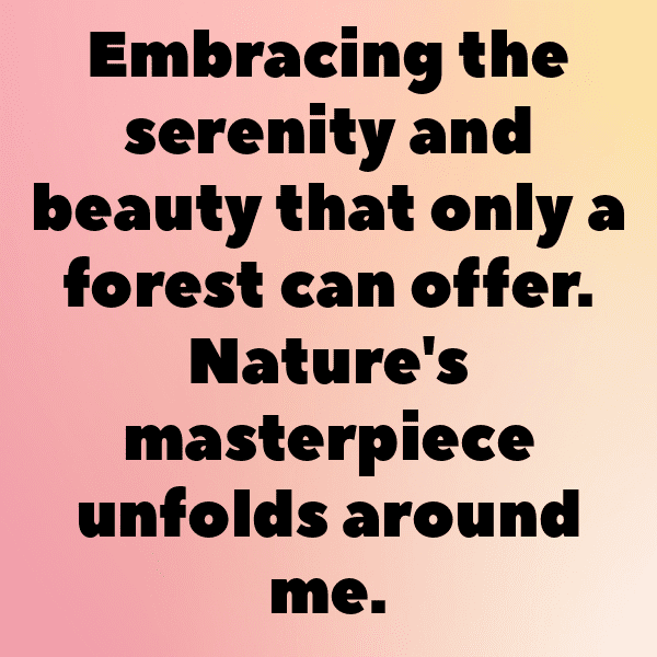 Forest Path Captions Photo for Instagram-Ms3rfc