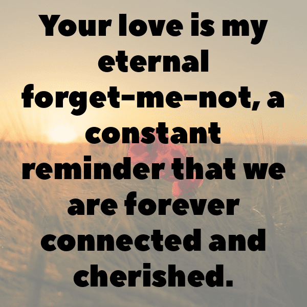 Forget-Me-Not Captions Image For Instagram-1vzMIn