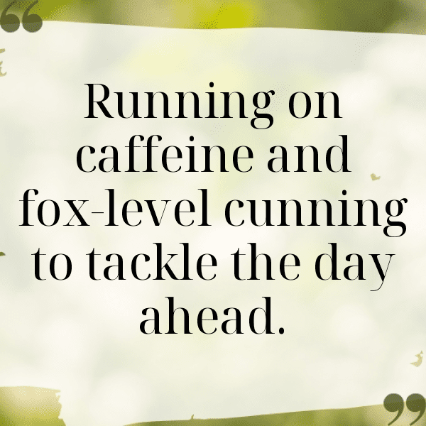 Fox Captions Image For Instagram-6jsPqD