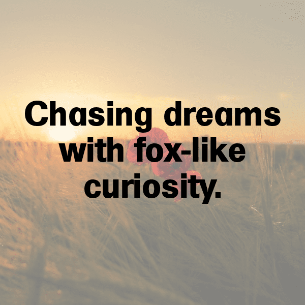 Fox Captions Photo For Instagram-3PfMsn