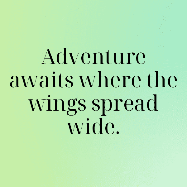 Fox Captions Photo For Instagram-gsVuEe