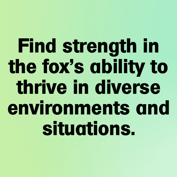 Fox Captions Photo For Instagram-KMPlQl