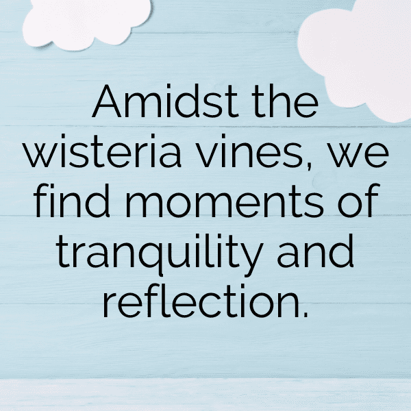 222+ Foxglove Captions For Instagram (Trending, Funny & Top) 9 Foxglove Captions Photo For Instagram-FnDp72